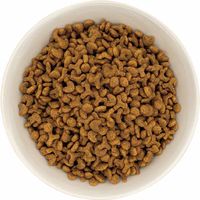 まいにちでるでるごはん お腹と皮膚・被毛の健康ケア お肉ミックス 国産 200g 3袋 ドギーマン キャットフード