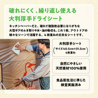 ペーパータオル プロワイプ OUTDOOR タフドライシート チャムス 1パック 50組（4枚重ね）大王製紙