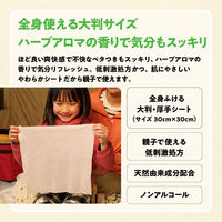 エリエール ドデカシート OUTDOOR 全身シャワー気分シート 10枚 大王製紙 汗拭きシート ボディシート