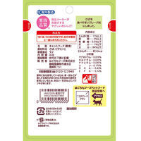 にゃんチュラル さばのフレーク 40g 6袋 はごろもフーズ キャットフード ウェット パウチ