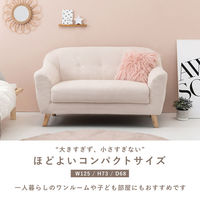 【軒先渡し】萩原 ソファ 2人掛 幅1250mm グレー エメル2P-GY 1台（直送品）