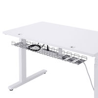 サンワサプライ ケーブル配線トレー ワイヤー Lサイズ ERDシリーズ専用 CB-CTERD3 1台（直送品）