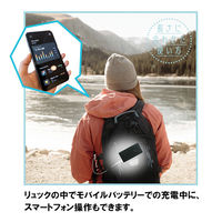 エアージェイ くねくねケーブルCtoC 1m CCJ-WTC1M 1本