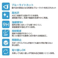 エアージェイ iPhone15/15Pro兼用ブルーライトカットガラスパネル VGN-P23P-BL 1枚（直送品）