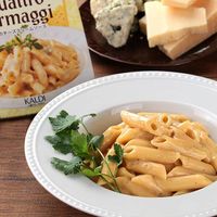 カルディオリジナル パスタソース クアトロフォルマッジ 120g 5個 キャメル珈琲