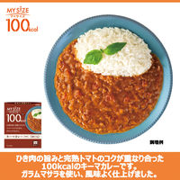 マイサイズ 100kcal キーマカレー 中辛 1人前・100g 1セット（3個）大塚食品 レンジ対応 レトルト