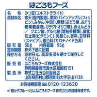朝からフルーツ みつ豆 95g 1セット（2個）はごろもフーズ パウチ