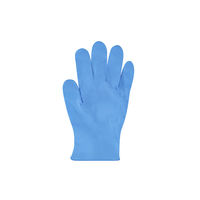 アイリスオーヤマ 使い捨て手袋 ニトリル手袋 Lサイズ RNBR-100L 1箱（100枚入）