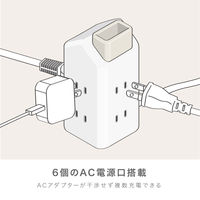 ソニック えんとつ屋根のコンセントハウス 2m AC×6、USB-A×3 ホワイト ULH-7807-W 1個