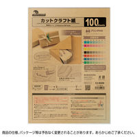 ササガワ カットクラフト紙A4 12-8500 1セット(5冊)