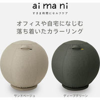 キングジム 台座付きバランスボール AHC030-BE 1個