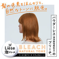 liese（リーゼ） 泡ブリーチ ナチュラルトーン 花王