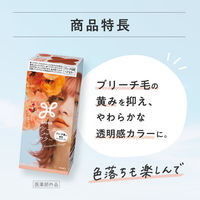 liese（リーゼ）ブリーチオンカラー ラナンキュラスオレンジ 花王