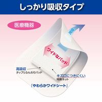 白十字 FC高吸収ワンタッチパッドL お徳用10枚入 46479 1個