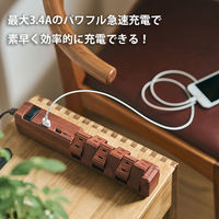 延長コード 電源タップ 12個口 1.8m 2P式 回転タップ USBポート付 ファーゴ ダークウッド PT60112DW 1個