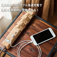 延長コード 電源タップ 12個口 1.8m 2P式 回転 USBポート付 ファーゴ ベージュウッド PT60112BEWD 1個