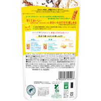 リプトン フルーツインティー ピーチ・ストロベリー&マンゴー 水出し紅茶ティーバッグ 1セット（8バッグ入×3袋）