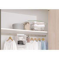 掃除機のいらない上から押すだけ 圧縮袋 衣類用 クローゼットに最適 1個 東和産業