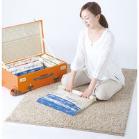 圧縮袋 VO押すだけ 衣類圧縮パックL 2枚入り 1個 東和産業