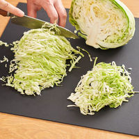 h tag（アッシュタグ） 折り畳める まな板 カッティングマット L 抗菌 食洗機対応 1枚 アッシュコンセプト