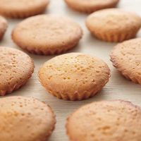 耐熱性の紙製 カップケーキ型 9号 型ばなれしやすい 日本製 １個（20枚入） 貝印 Kai House Select