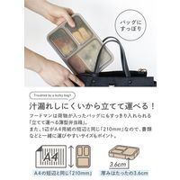フードマン 抗菌 薄型お弁当箱 600ml グレーベージュ 1段 普通 大人 電子レンジ・食洗機対応 DSK 1個 シービージャパン