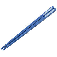 スケーター 子供用 抗菌 箸＆箸箱セット ディノサウルス ピクチャーブック 恐竜 日本製 食洗機対応 1個