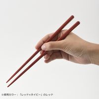 【ギフト】 BRUNO（ブルーノ）ペア HASHI ピンク×ブルー（箸2膳・箸置き2個）化粧箱入り BHK168-PKxBL 1セット
