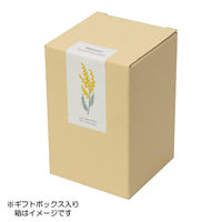 ロマンフラワー チューリップ 210ml 箱入り 1個 ワールド・クリエイト