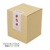 アリスフルーツグラス 350ml レモン 箱入り 1個 ワールド・クリエイト