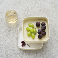 tak（タック） フルーツナッツ ライトブルー（上段：500ml、下段：410ml） 電子レンジ対応 1セット 竹中