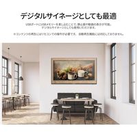 JAPANNEXT 40インチ フルHD大型液晶モニター JN-V40TFHD-U-H2 1台