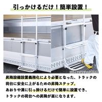 MKトレンド トラックステップ ワイド 2台セット MTS-02 1セット(2台)（直送品）