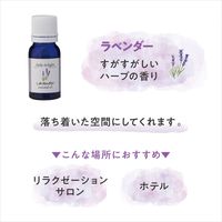 デイリーディライト エッセンシャルオイル はじめての精油3本セット 各3mL グローバルプロダクトプランニング