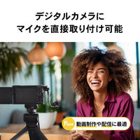 オーディオテクニカ モノラルマイクロホン ATR7700 1個