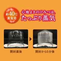 めぐりズム 蒸気でじんわり 足シート 無香料 1箱（6枚入） 花王