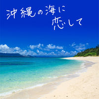 入浴剤 バスロマン 旅する沖縄 バスソルト 4種アソート 1箱（12包入） アース製薬