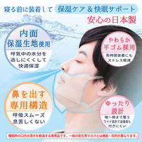 エスパック ドライマウスガード 60枚入 ホワイト DMG60W-AS 1個(60枚入)（直送品）