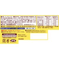 モントンスポンジケーキミックス＜プレーン＞ 3箱 森永製菓 製菓材 手作りお菓子