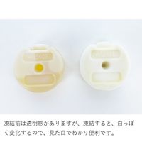 氷点下パックGT-16℃・コンパクト（2pcs） 81660609 LOGOS/ロゴス