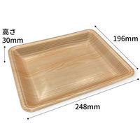 中央化学 発泡トレー CN 20-25FF 木曽内 694208 1ケース(900個(100個×9))（直送品）