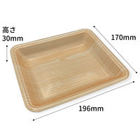 中央化学 発泡トレー CN 20-17FF 木曽内 (L) 228742 1袋(100個)（直送品）