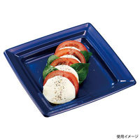 中央化学 軽食容器 CT 沙楽 K18-18 紺-BK 身1 18853 1袋(50個)（直送品）