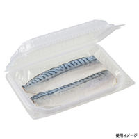 中央化学 弁当容器 耐寒PP 冷パック 23-16(50) 22665 1袋(25個)（直送品）