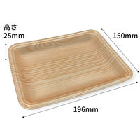 中央化学 発泡トレー CN 20-15E 木曽内 (L) 225631 1袋(100個)（直送品）