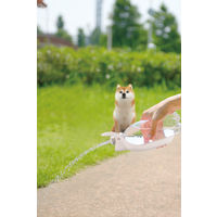 お散歩ハンディシャワー M アイボリー 1個 リッチェル