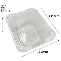 中央化学 フードパック C-APG SDL-2 250175 1ケース(600個(50個×12))（直送品）