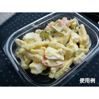 中央化学 軽食容器 C-AP デリカン 15-11 身 117333 1袋(50個)（直送品）