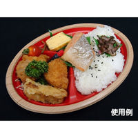中央化学 弁当容器 CT WF小判23A-32 赤木目BKL 31831 1ケース(600個(50個×（直送品）