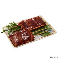 中央化学 鮮魚トレー CU-1L 木曽 164384 1袋(50個)（直送品）